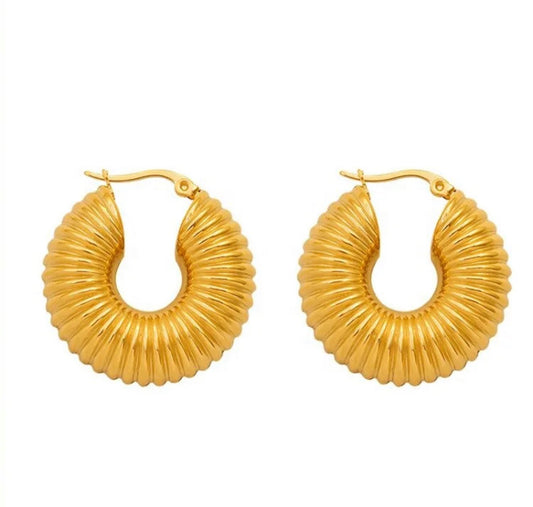 Shell Hoops